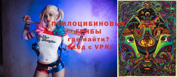 сатива Алексеевка