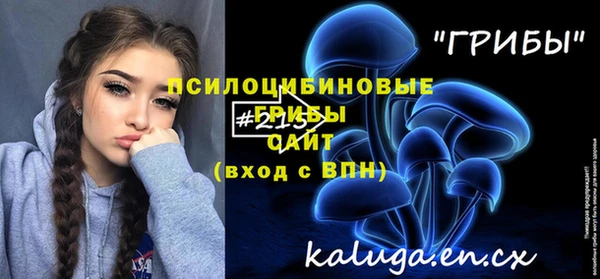 сатива Алексеевка